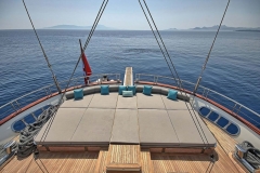 blue-cruise-faq-8