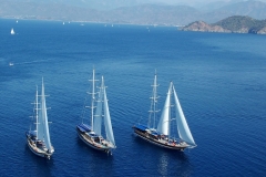 blue-cruise-1