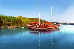 blue-cruise-2