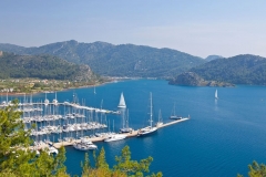 blue-cruise-4