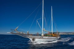 blue-cruise-faq-2