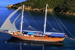 blue-cruise-faq-6